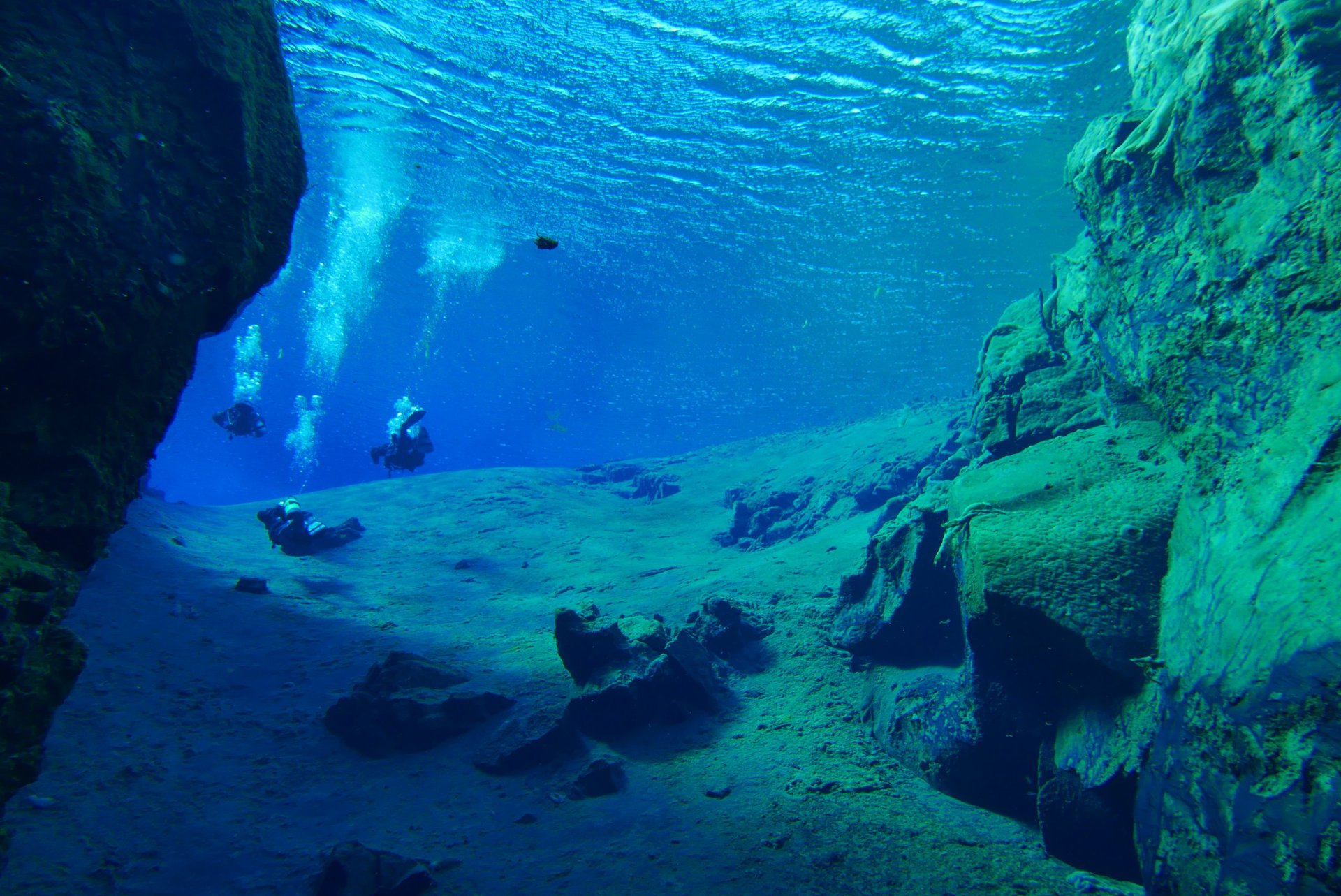 Discovery diving crystal clear water