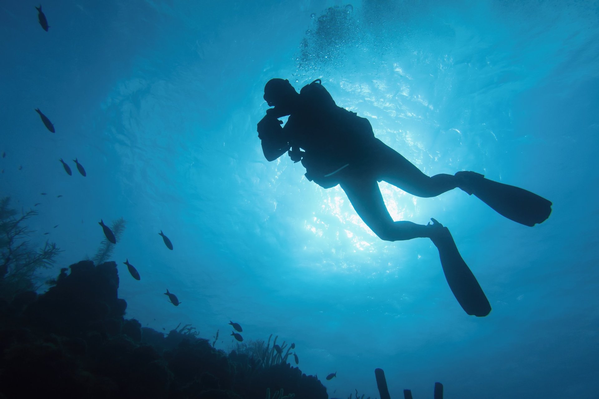 Life-giving sunlight underwater
