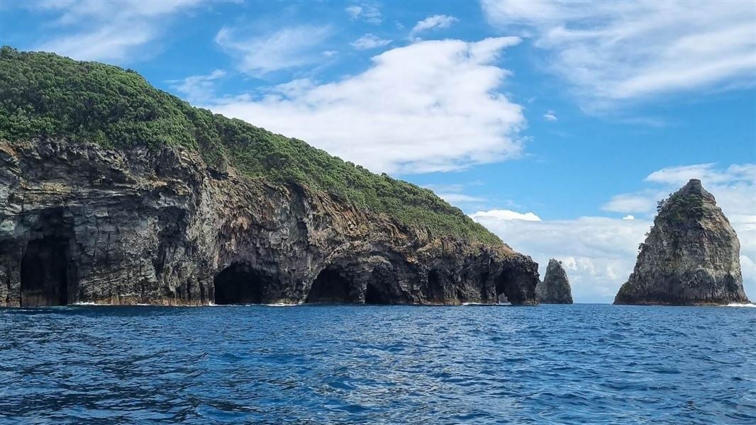 Rocky coastal cliffs with sea caves viewed from the ocean, featuring lush green vegetation and a tall rock pinnacle against a blue sky with white clouds