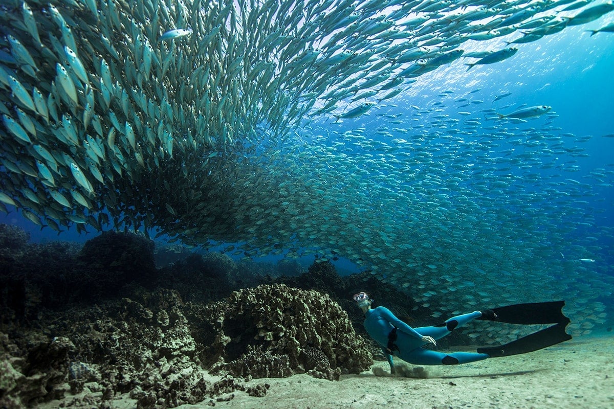 Scuba diver exploring underwater rocky formation with large school of fish swimming above in clear blue ocean water