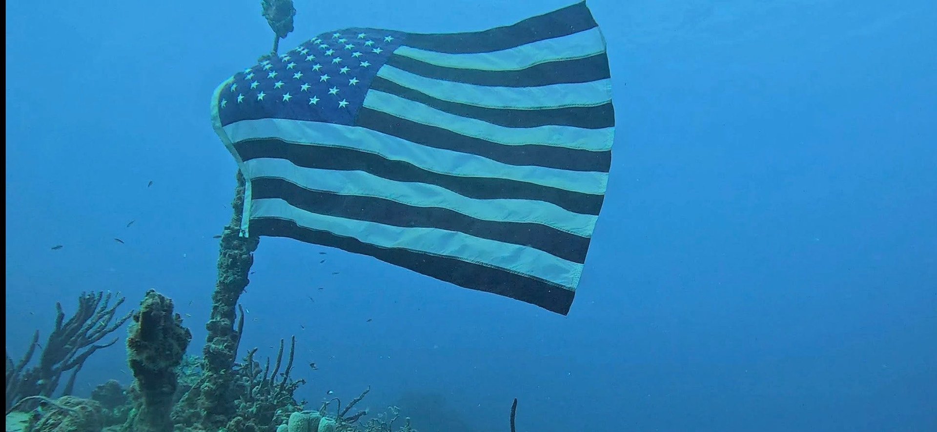 Scuba diver holding American flag underwater with coral reef and blue ocean background