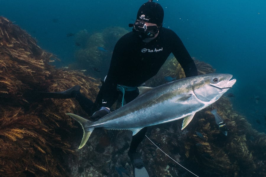 Underwater diver in wetsuit holding a large silvery fish while posing near rocky seafloor